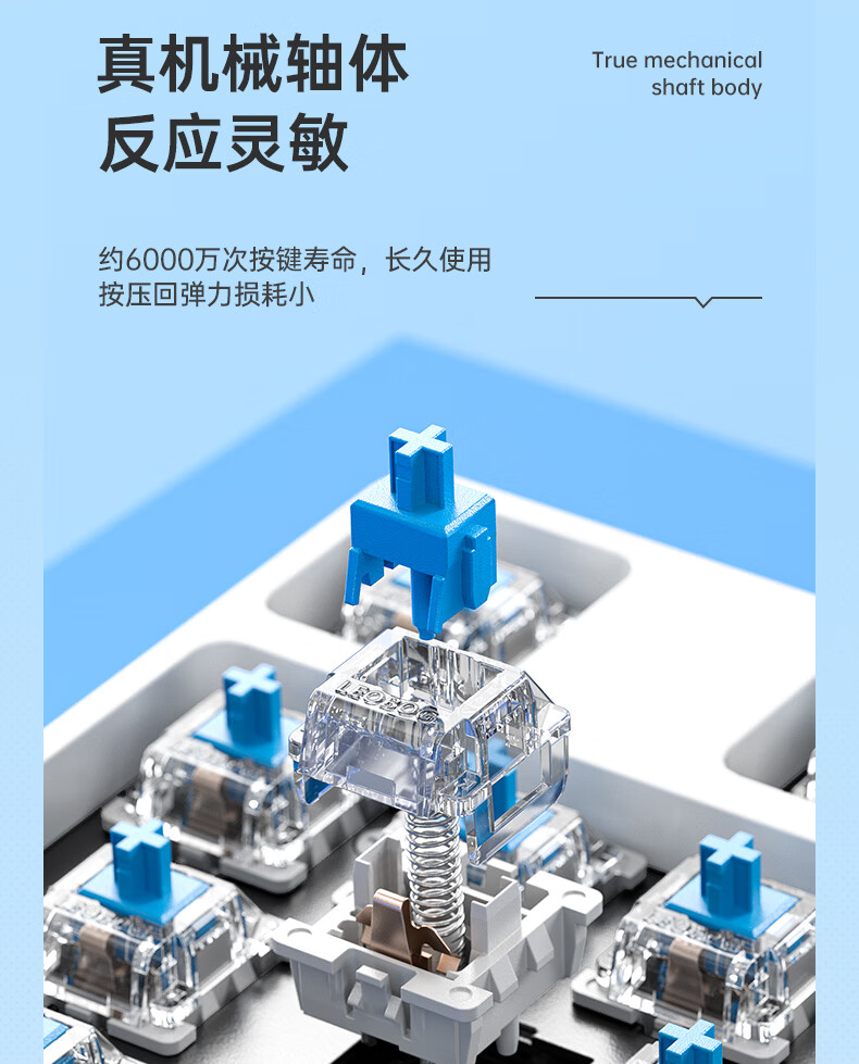 2e09bcea8762d5986a60e39231787f67_69e1c4da-b91c-48ec-a0ea-6ffeac31684d.jpg