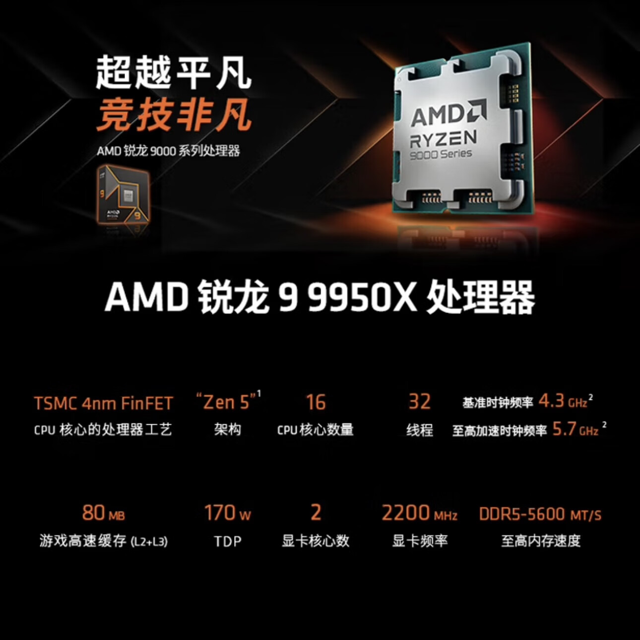 sx1.jpg