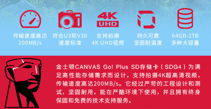 SX2.jpg