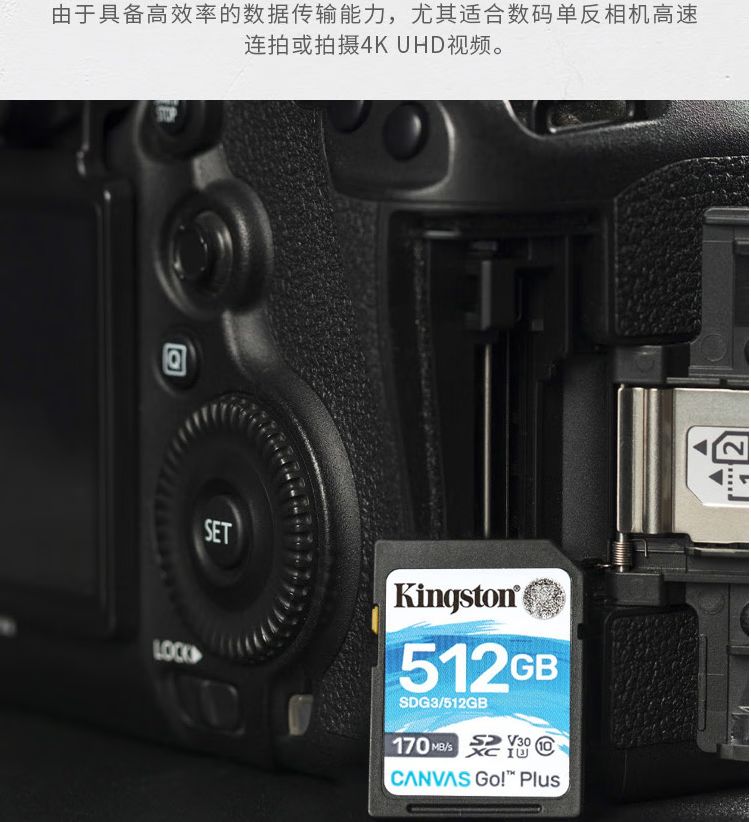 SX5.jpg