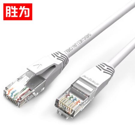 勝為 ALC2020J 超五類網(wǎng)線 cat5e百兆純銅 網(wǎng)絡(luò)連接線 白色 2米