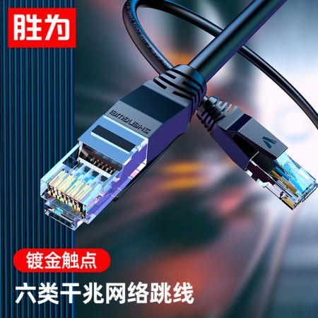 勝為 LC-1210G 六類cat6類網(wǎng)線 千兆網(wǎng)絡(luò)非屏蔽8芯 工程寬帶成品跳線 黑色 10米