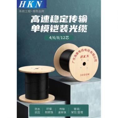 廣東?？?HKN-G-12B1 國標(biāo)中心束管單模光纜 GYXTW國標(biāo)單模光纜