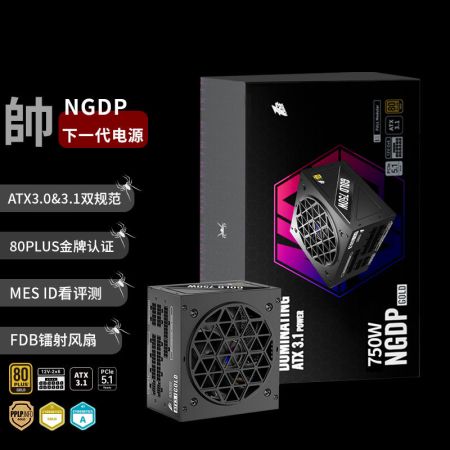 首席玩家（1st player）NGDP 750W金牌全模組壓紋線ATX3.1電源 ATX3.1&3.0雙規(guī)范/支持4070/10年換新