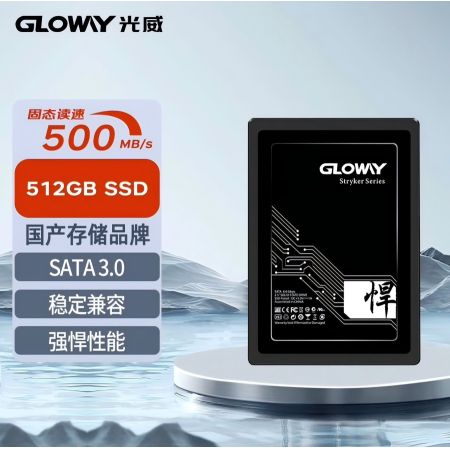 光威 512GB 2.5寸SSD固態(tài)硬盤 SATA3.0接口 悍將系列