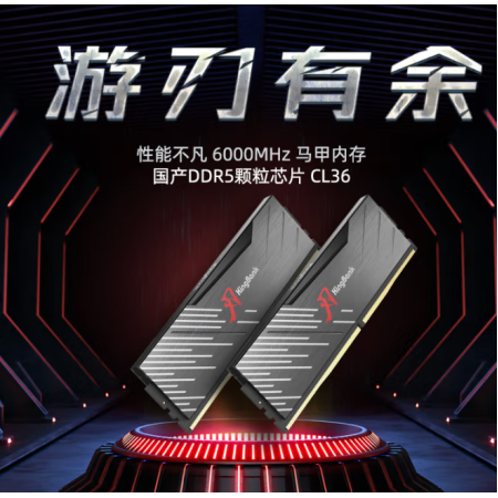 金百達 32GB(16GBX2)套裝 DDR5 6000 臺式機內(nèi)存條 國產(chǎn)DDR5顆粒 黑刃無燈 C36 適配黑神話悟空