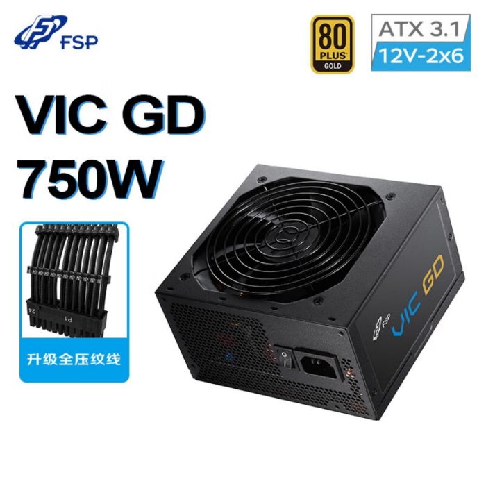 全漢（FSP）VIC GD 750W 金牌直出電源 黑色 全壓紋線  （ATX3.1/PCle12V-2v6/DC-DC/120mm HYB風(fēng)扇）