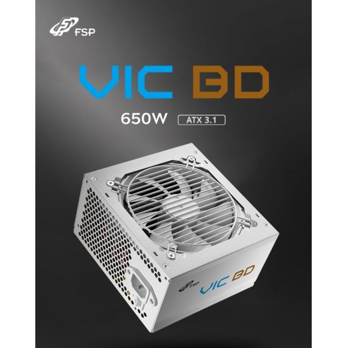 全漢 VIC BD650W 銅牌直出 白色 額定650W 全壓紋線 原生ATX3.1 臺(tái)式機(jī)電源