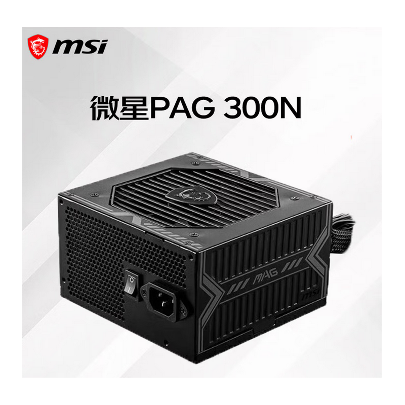 微星 PAG 300N  額定300W 電腦電源 ATX