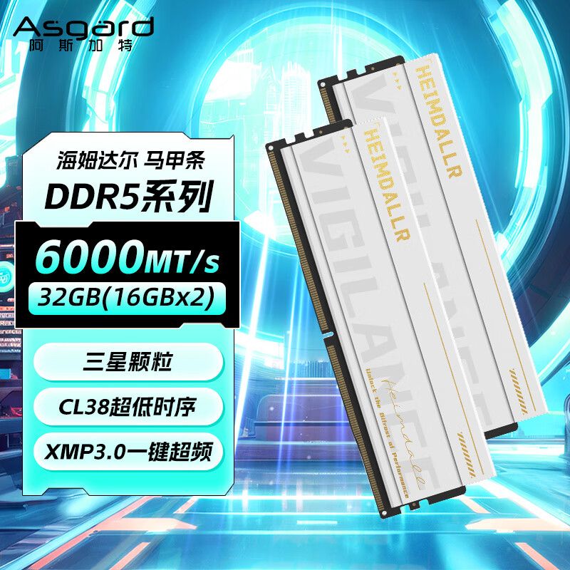 阿斯加特 海姆達(dá)爾32GB(16Gx2)6000白色套裝 時(shí)序C38 三星顆粒 臺(tái)式機(jī)內(nèi)存條