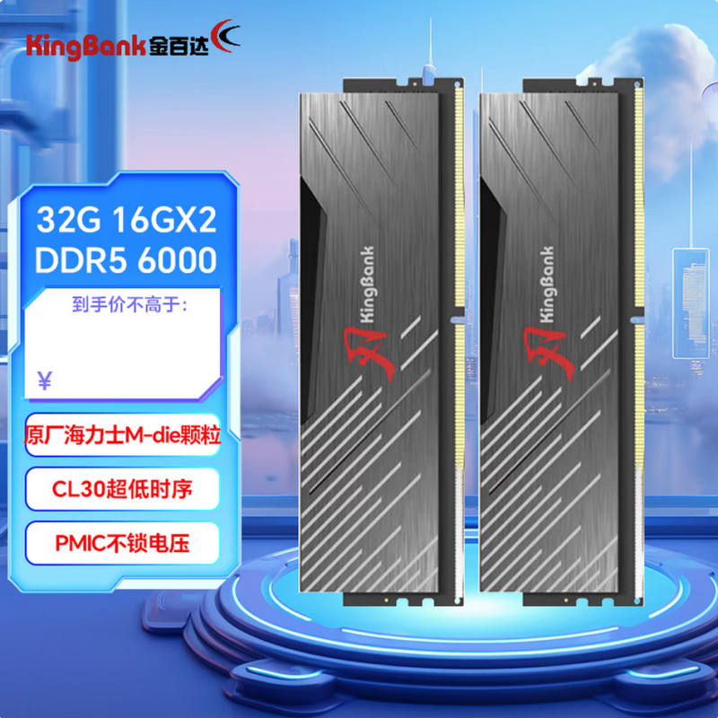 金百達DDR5 32G 16G*2套條 6000黑刃無燈C30 金百達（KINGBANK）DDR5臺式機內(nèi)存 游戲電競馬甲條 Deepseek硬件 黑刃【16G*2】6000套條【海力士M代C30】