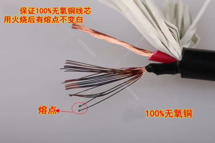 1618635448415514.jpg 2芯無氧銅4.jpg