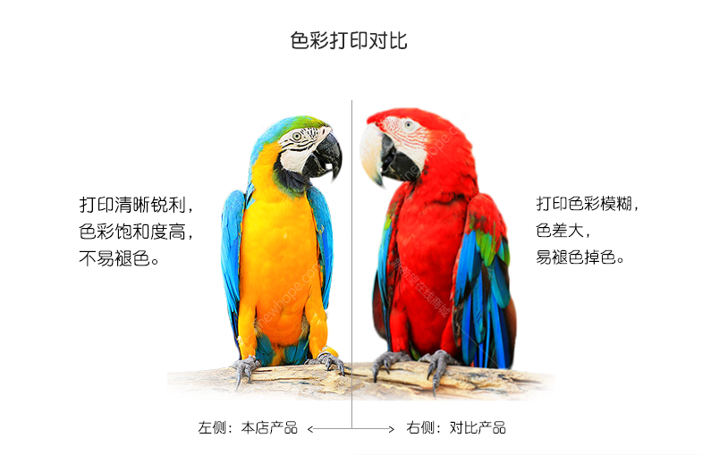 15.png
